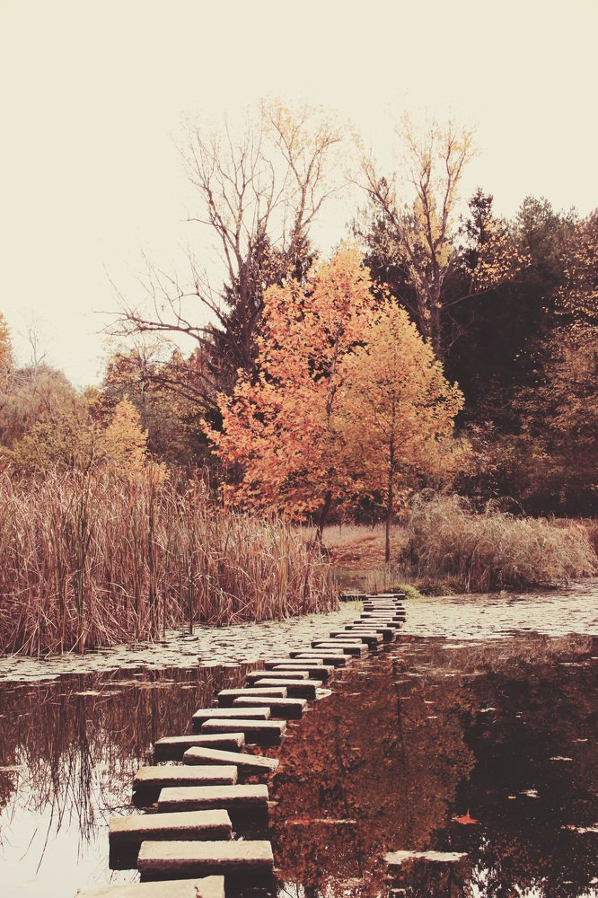 Photograph by Elitza Petkova