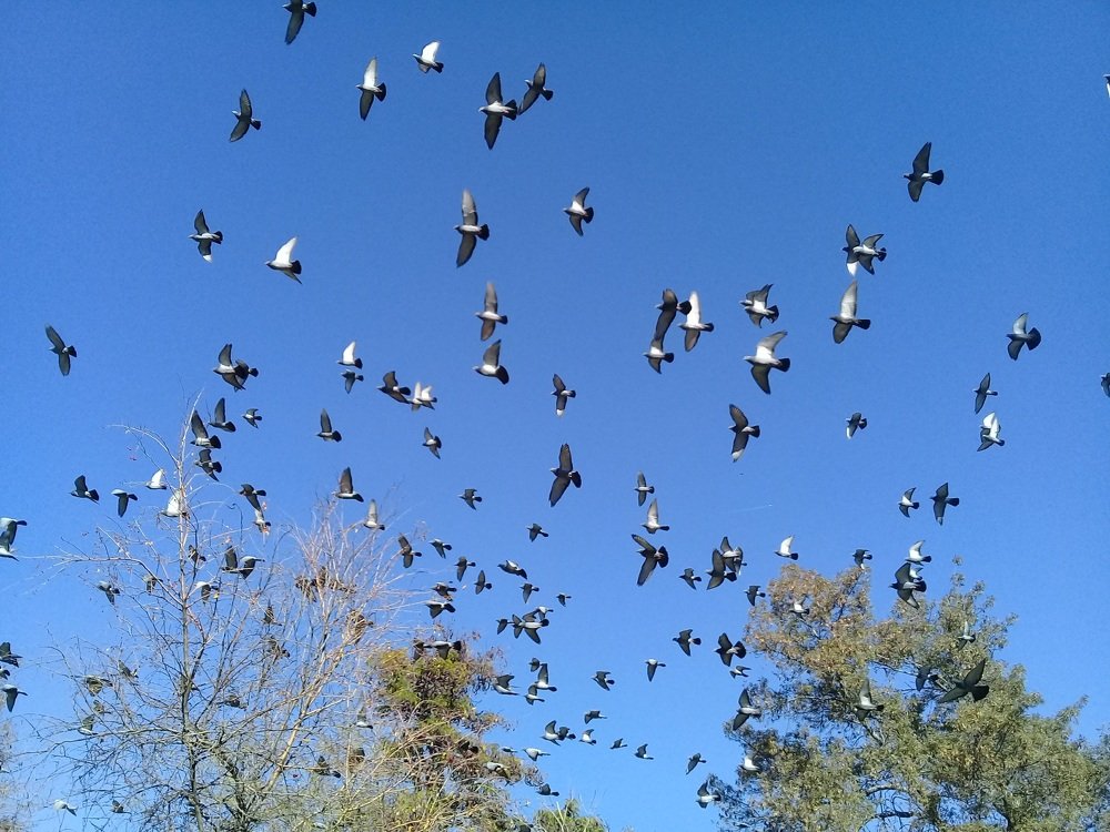 Фотография автора Bahaaddin Saber