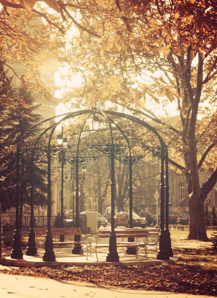 Photograph by Elitza Petkova