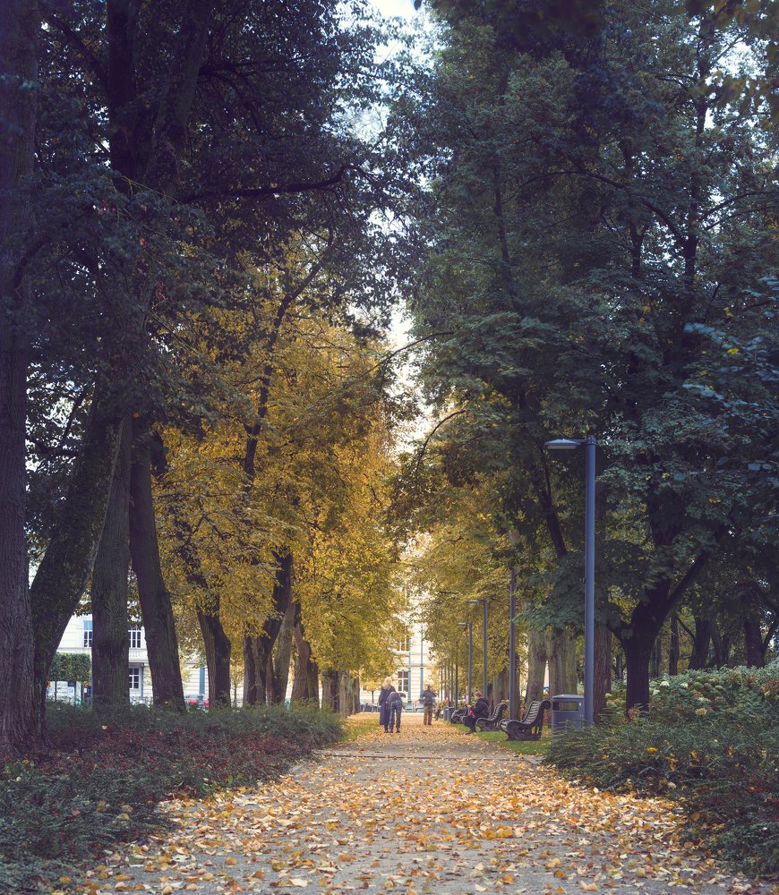 Photograph by Saulius Mikalauskas