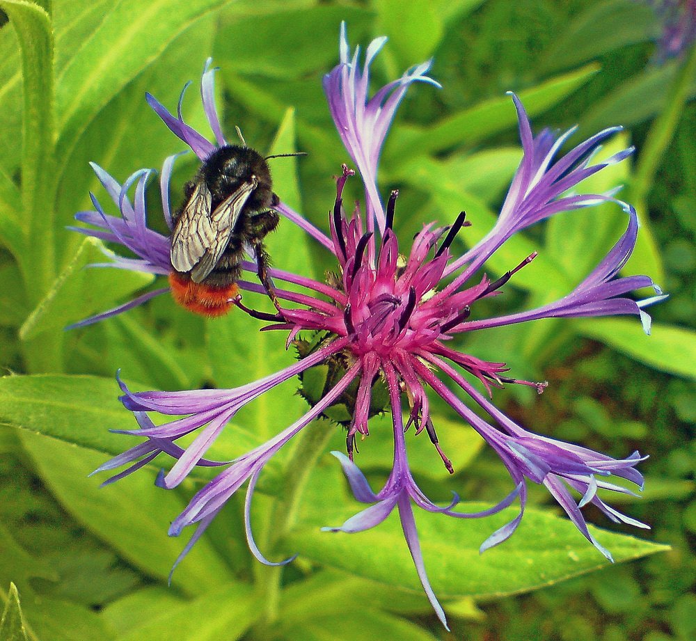 Photograph by Александр Бугаенко