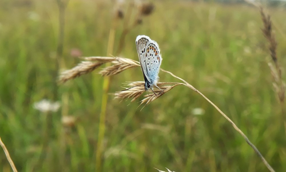 Photograph by Кристина Шляхова