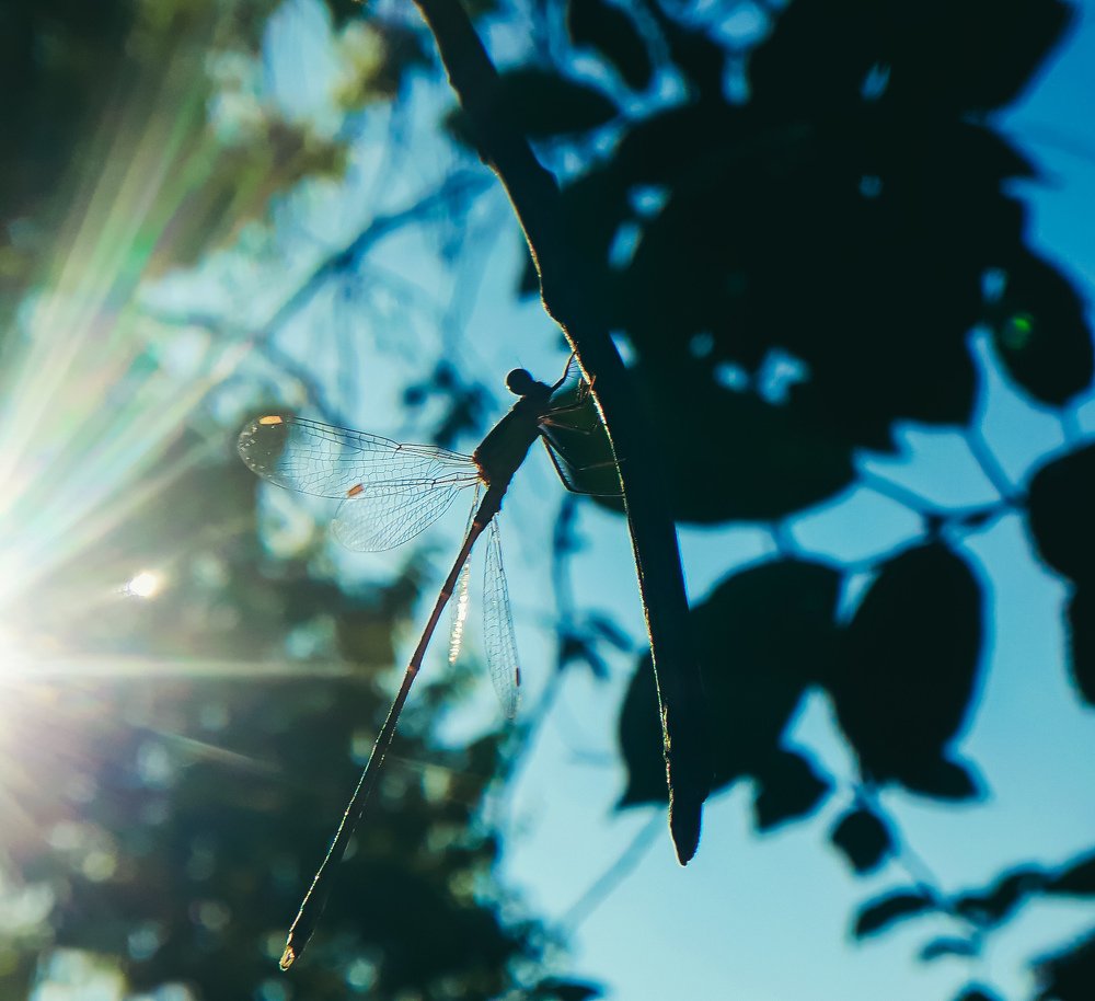 Photograph by Кристина Шляхова