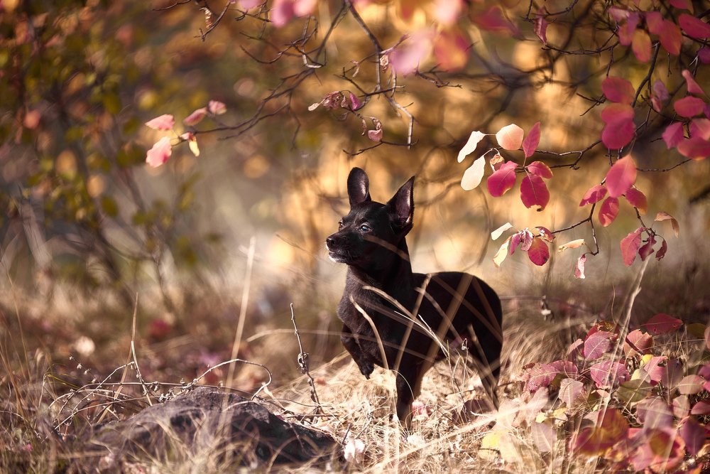 Photograph by Андрей Халемонец