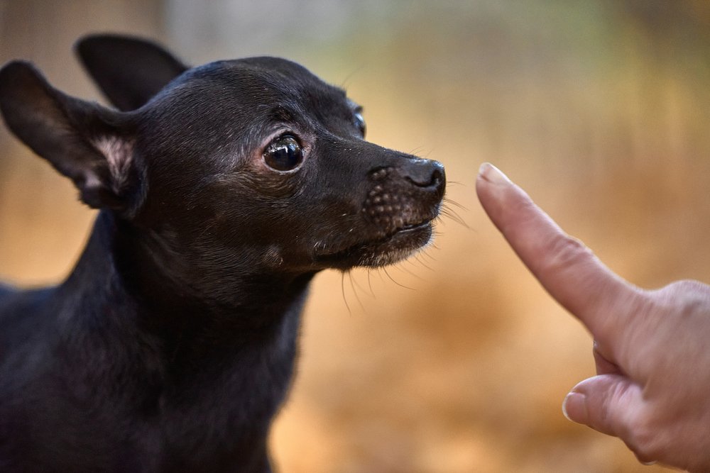Photograph by Андрей Халемонец