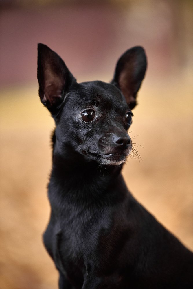 Photograph by Андрей Халемонец