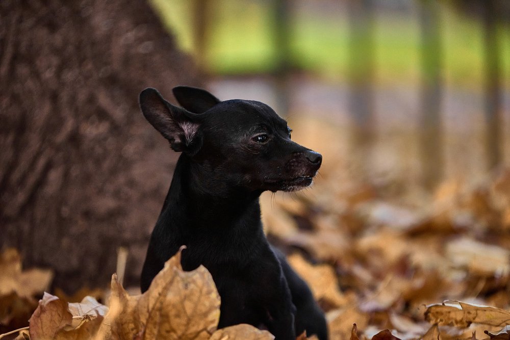 Photograph by Андрей Халемонец