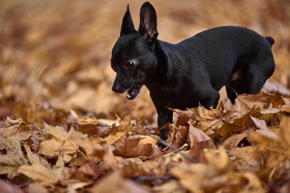 Photograph by Андрей Халемонец