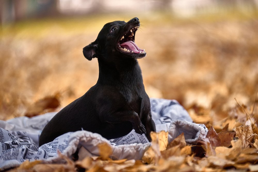 Photograph by Андрей Халемонец