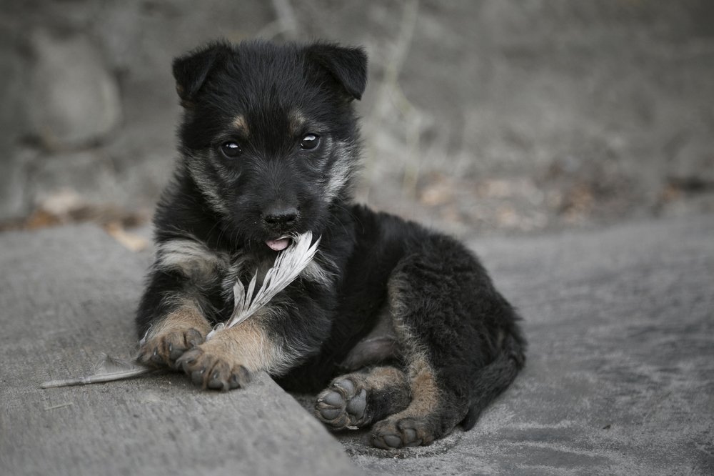 Photograph by Инна Тычная