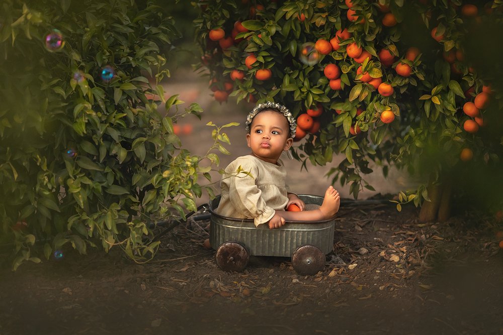 Фотография автора Limor David Samovich