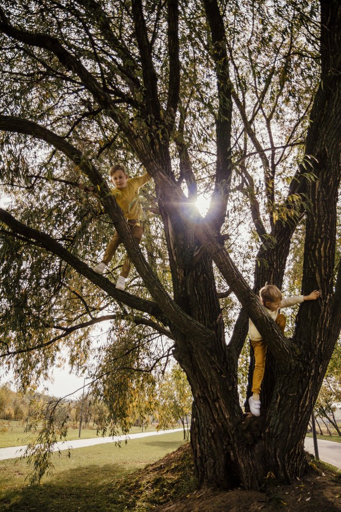 Photograph by Наталья Жалдак
