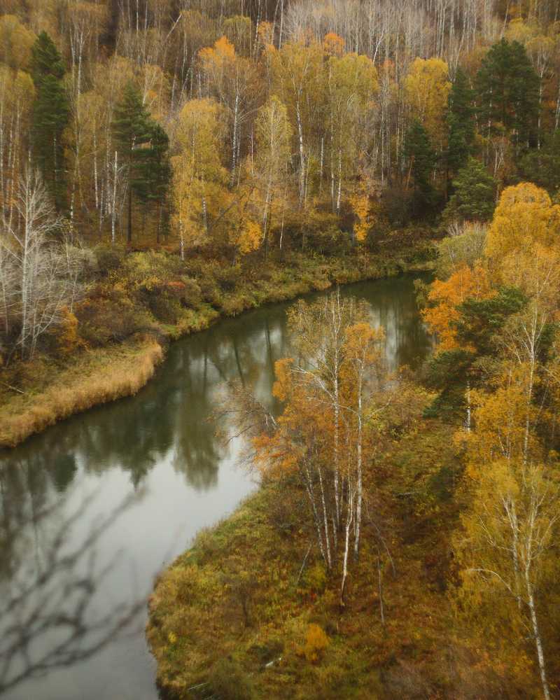 Photograph by Юлия Саморукова