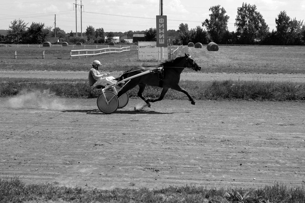 Photograph by Юлия Шестопалова