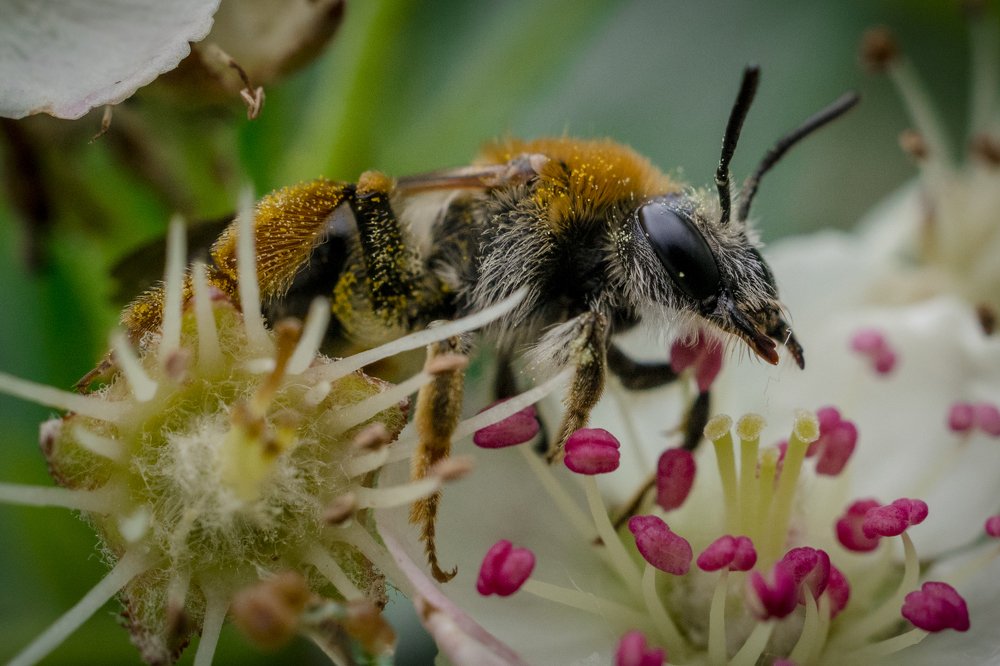 Photograph by Сергей Быченков
