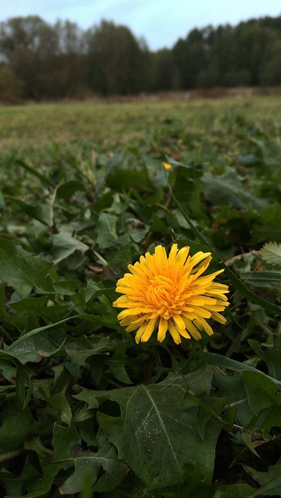 Фотография автора Yevheniia Matlai