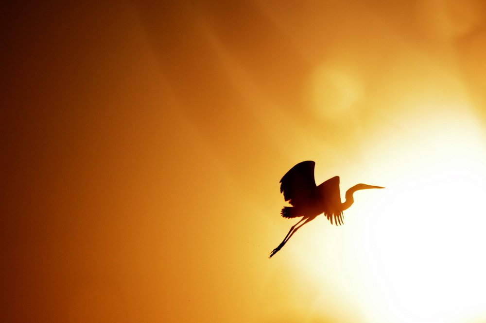 Фотография автора Александр Челмодеев