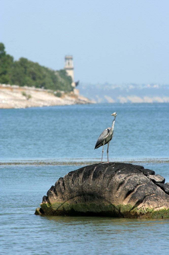 Фотография автора Александр Челмодеев