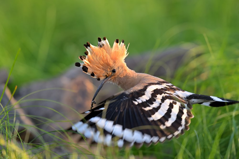 Photograph by Владимир Ежов