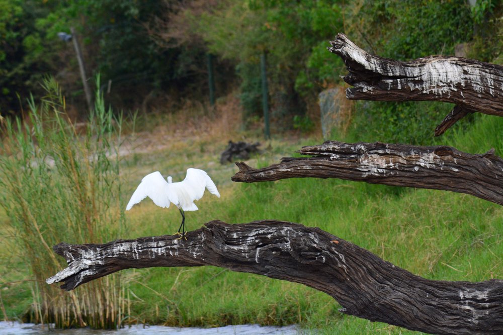 Photograph by Анатолий Орлов