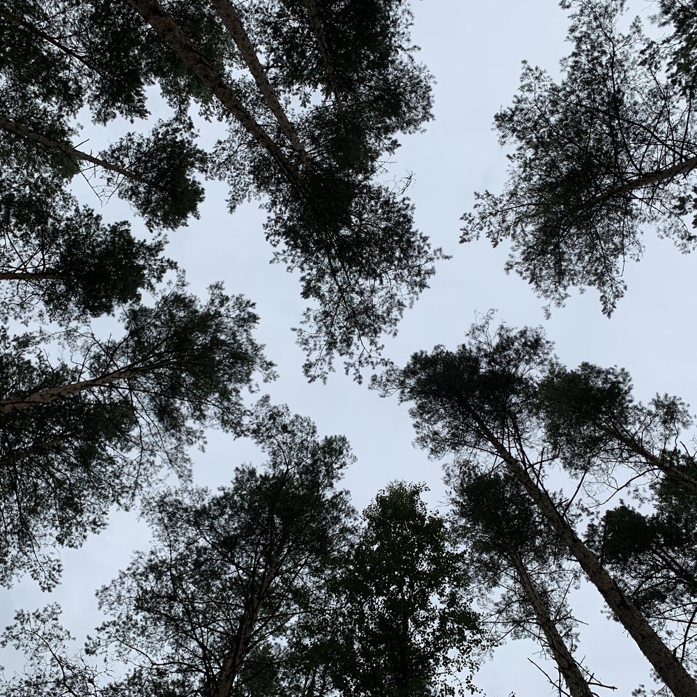 Photograph by Вадим