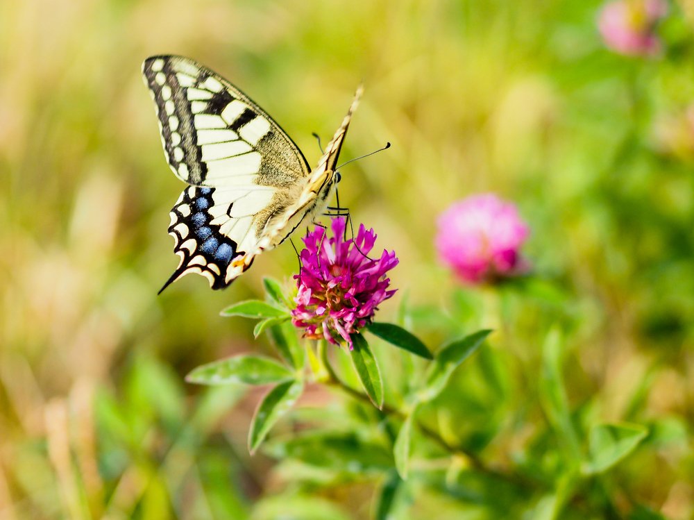 Photograph by Олеся Семенова