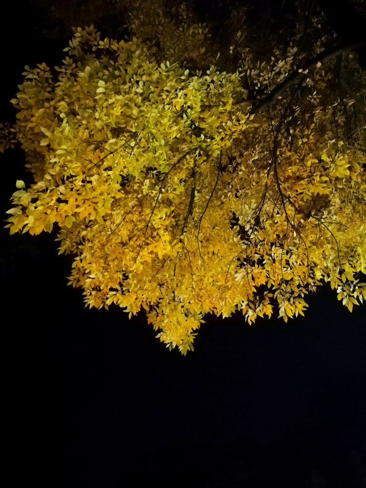 Photograph by Nuri Farawi