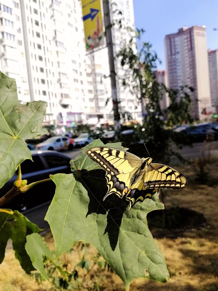 Photograph by Nuri Farawi