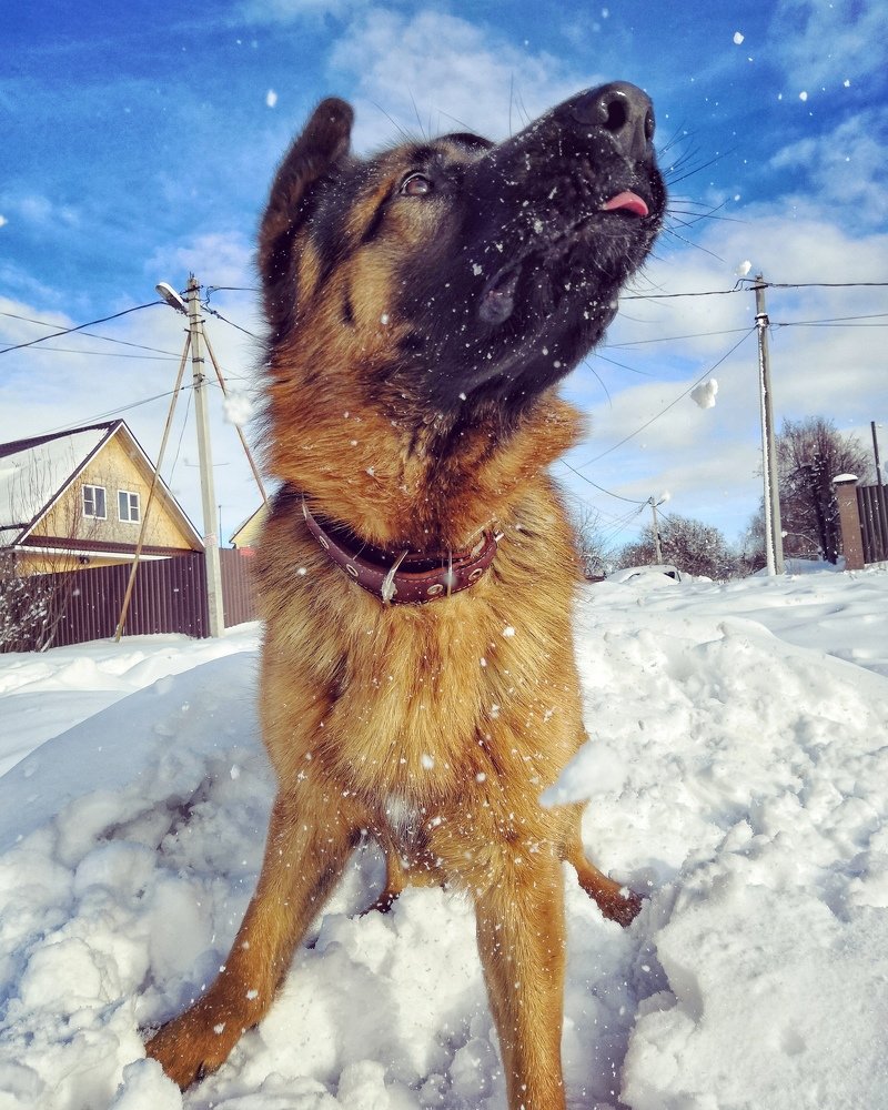 Photograph by Мария Фак