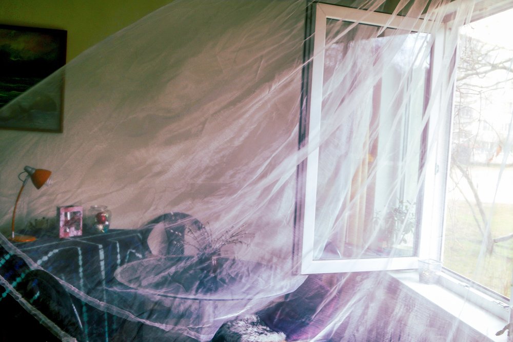 Photograph by Ilze Ose