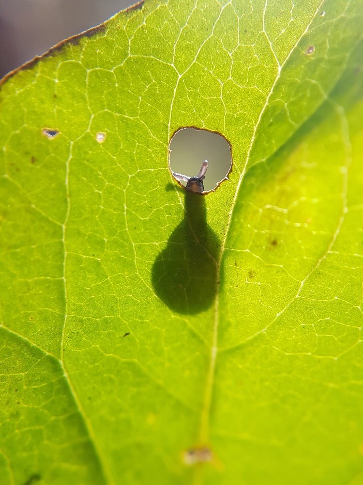 Photograph by Татьяна Пименкова