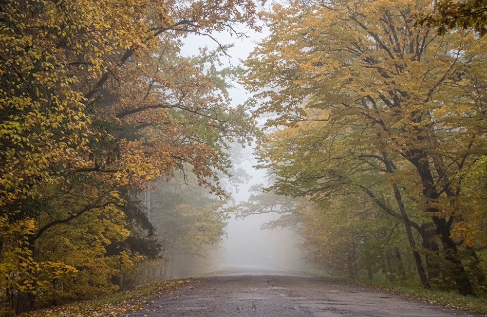 Photograph by Stella Talberg