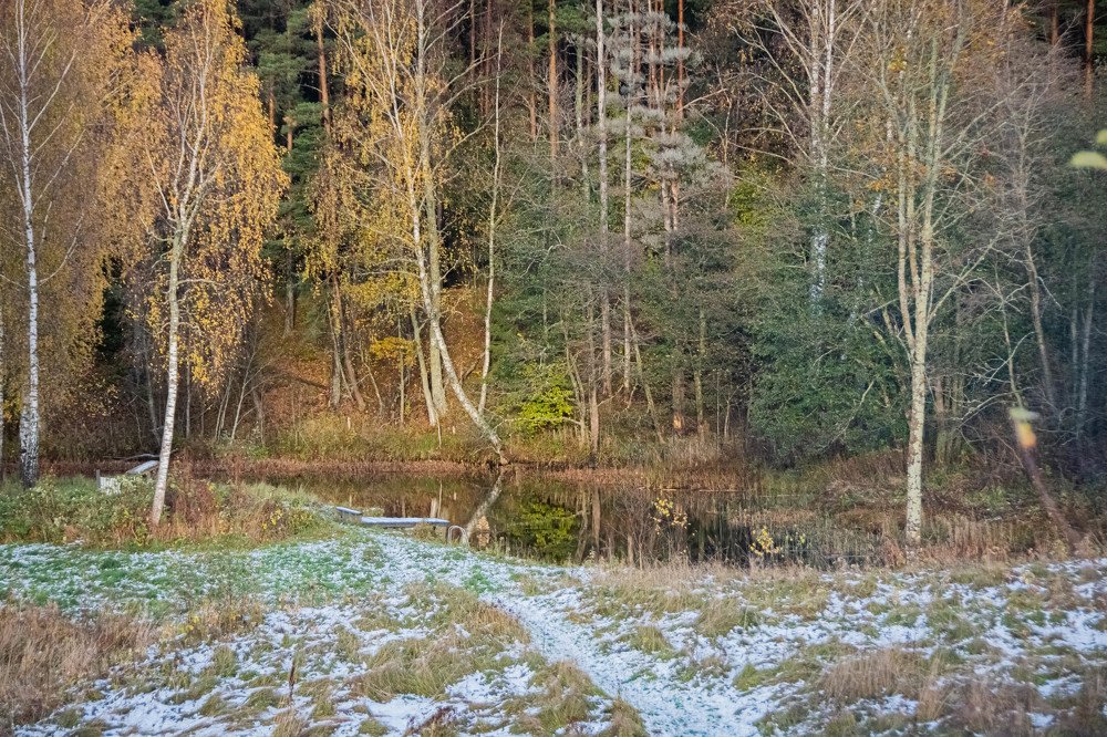 Photograph by Stella Talberg