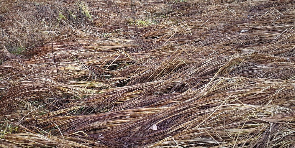 Photograph by Людмила Колеватова