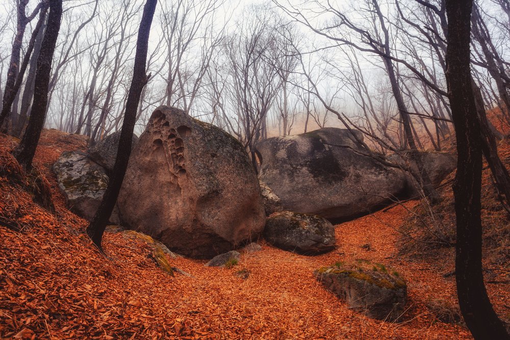 Спящие тролли.