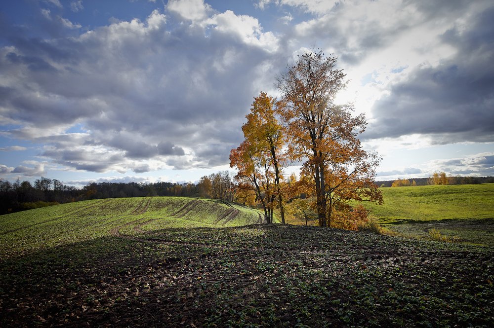 Photograph by Juris Buklovskis