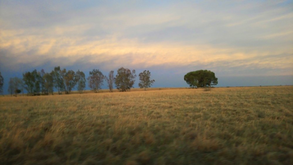 Photograph by Carina Ellis