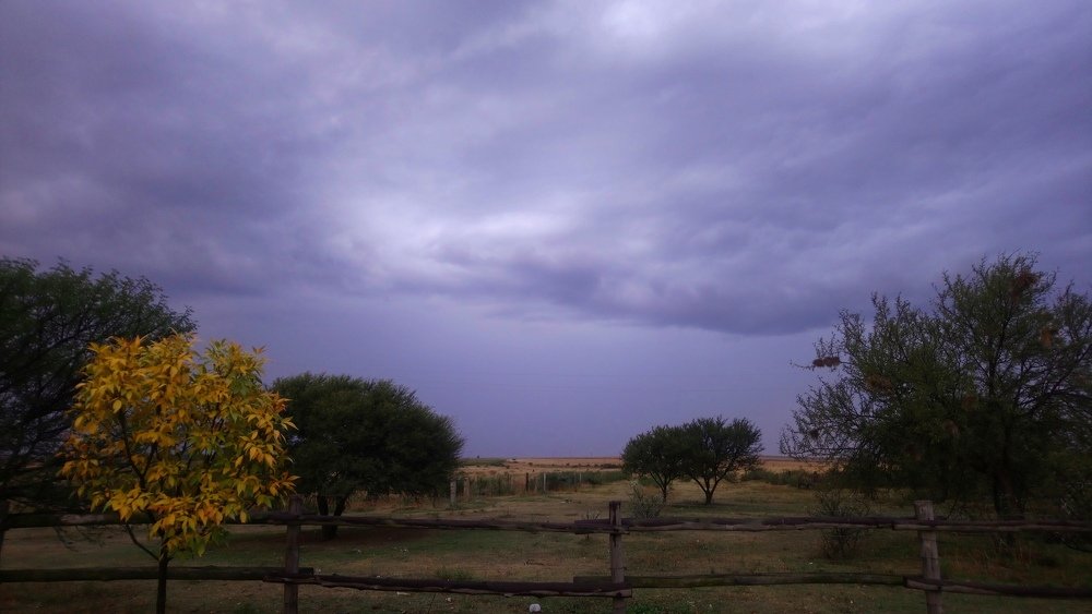 Photograph by Carina Ellis