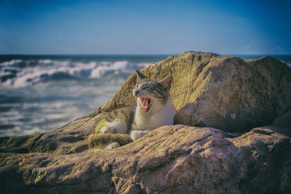 Photograph by Katja Sen