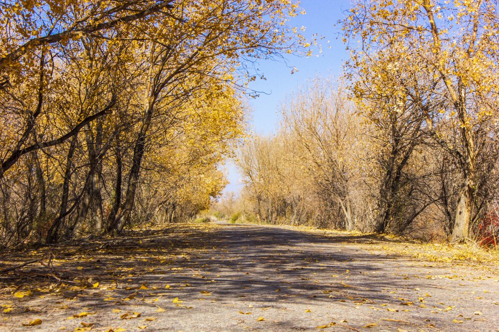 Photograph by Максим Грищенко