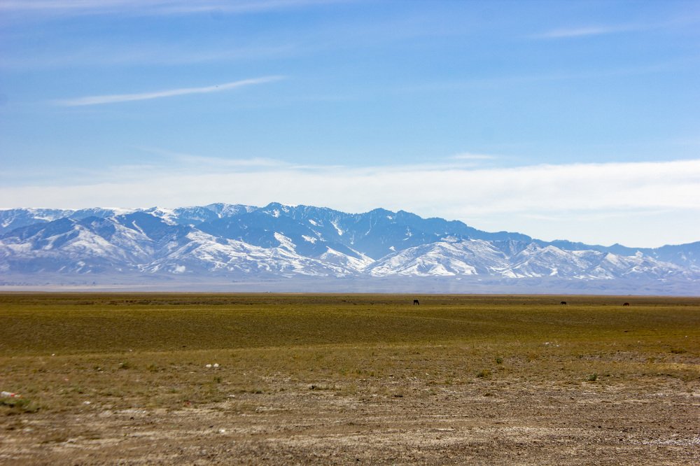 Photograph by Максим Грищенко