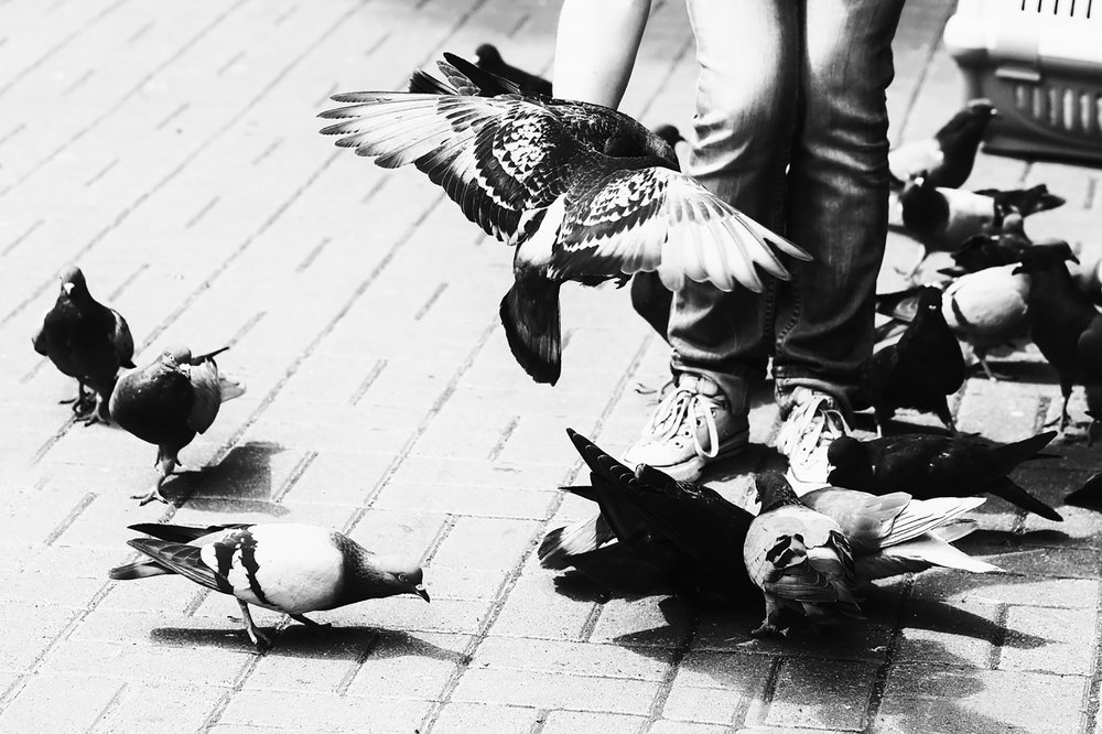 Photograph by Майя Чехова