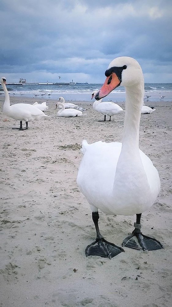 Photograph by Майя Чехова