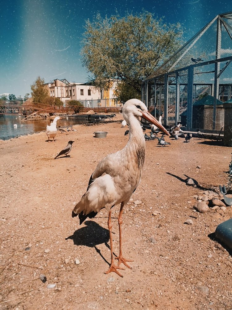 Photograph by Майя Чехова