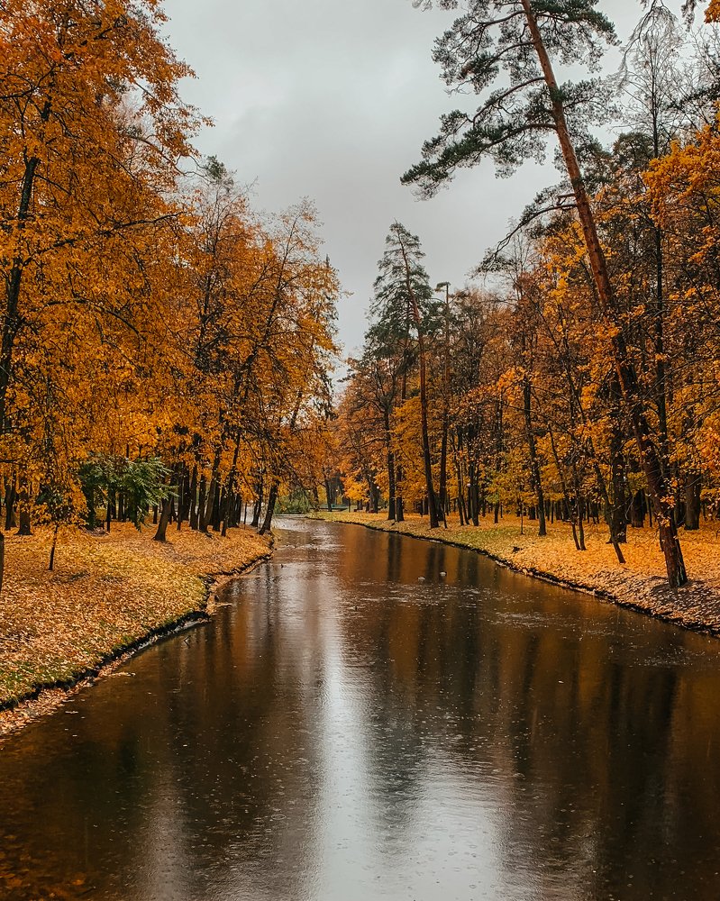 Photograph by Надежда Гаврикова