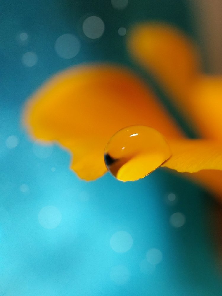 Photograph by Татьяна Чухина