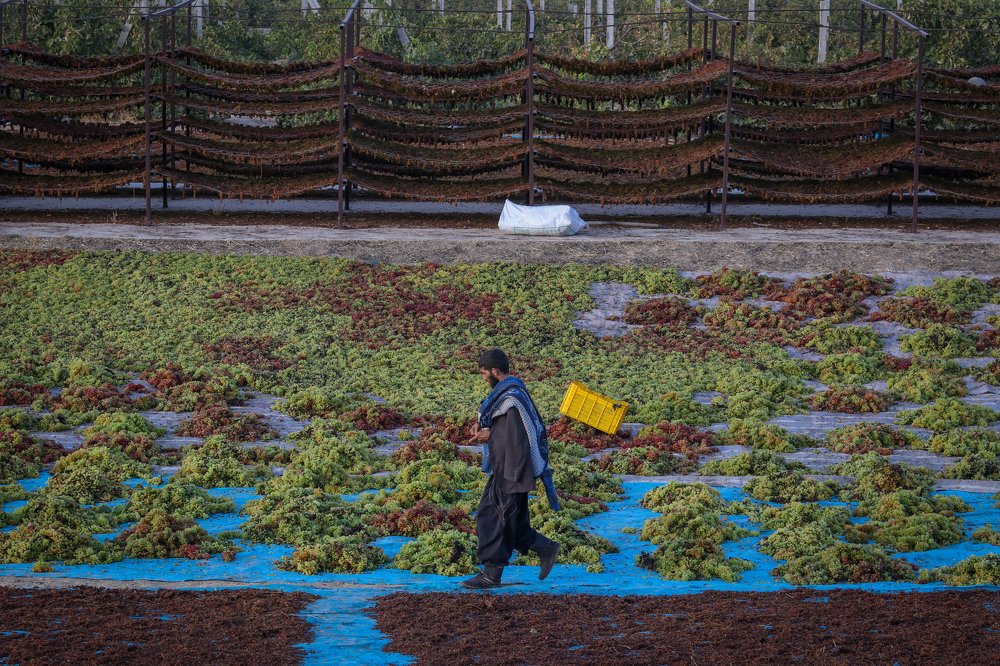 Photograph by Pourarab Mohammad Mahdi