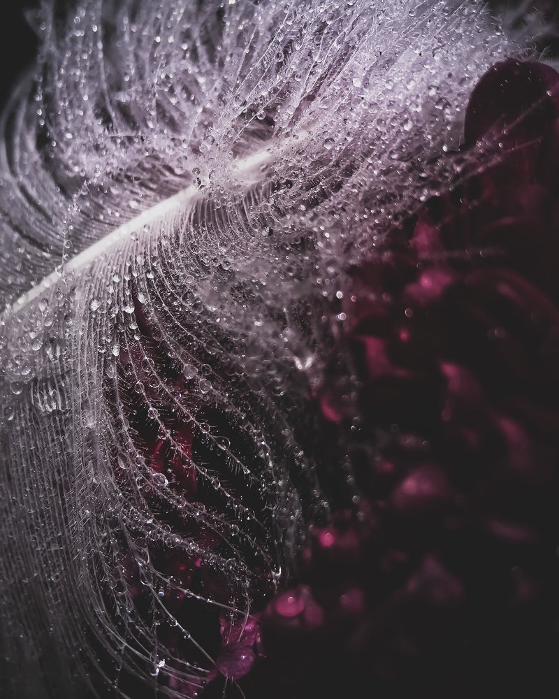 Photograph by Виолетта Афанасьева