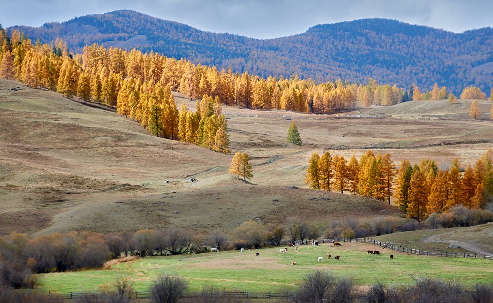 Photograph by Андрей Ростовцев