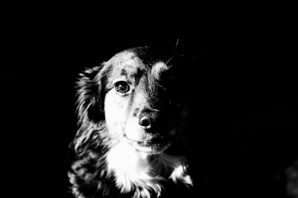 Photograph by Ilze Ose